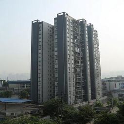 重庆市房地产开发网项目详情查看指南